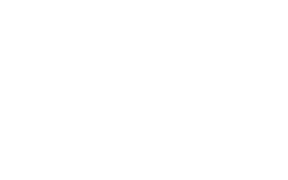 logo_netBLANCO